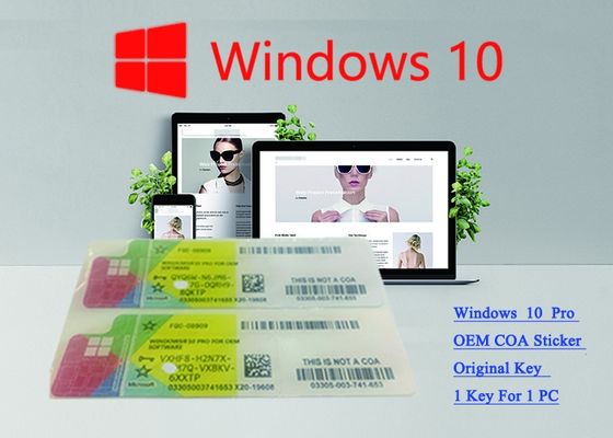 China Win 10 Pro French USB 3.0 Pack Windows 10 Product Key FQC -08920 Verified OEM Key supplier